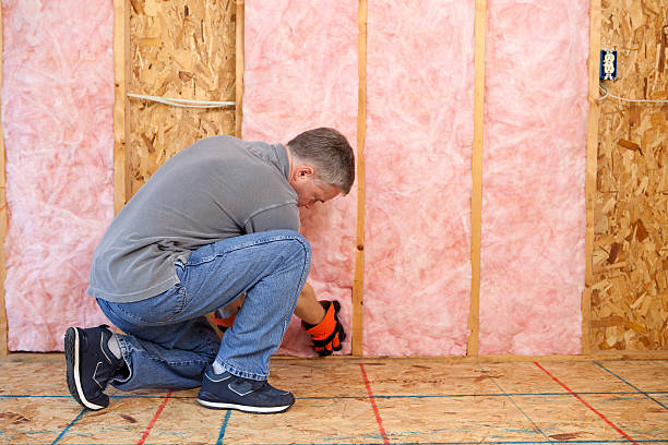 Best Energy Efficiency Solutions in Isla Vista, CA