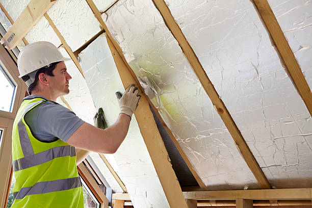 Best Energy Efficiency Solutions in Isla Vista, CA